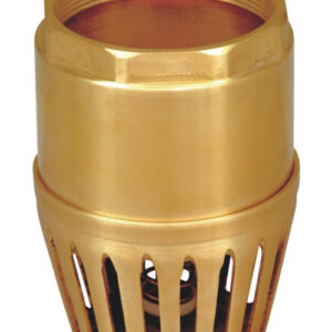 foot valve brass