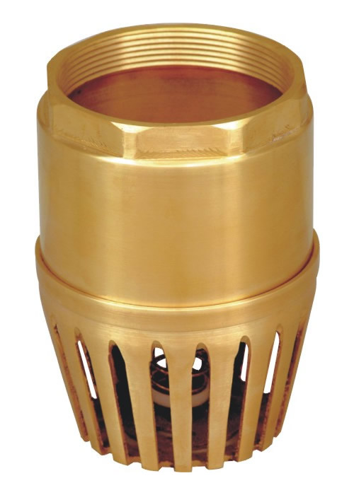 foot valve brass