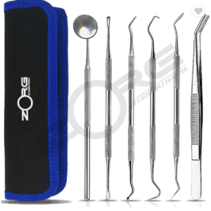Dental Hygiene Tool Kit