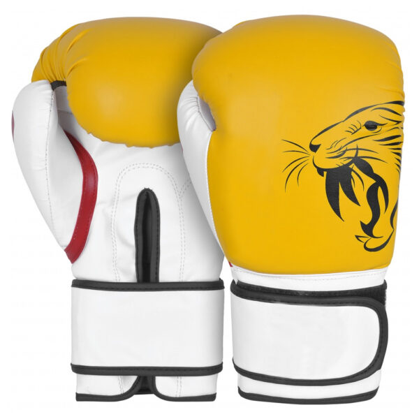 Leather Boxing Gloves Manufacturer